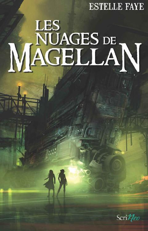 Les nuages de Magellan